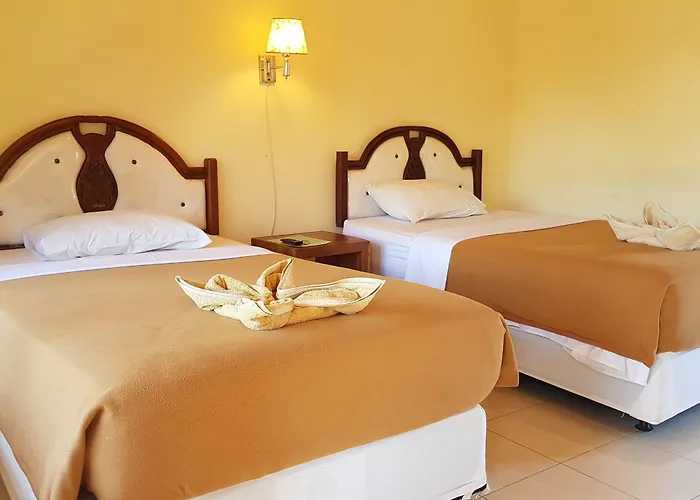 Guest house My