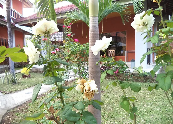 Guest house My Lovina (Bali)