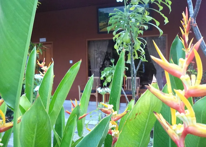 My 4* Lovina (Bali)