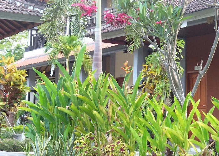 My 4* Lovina (Bali)
