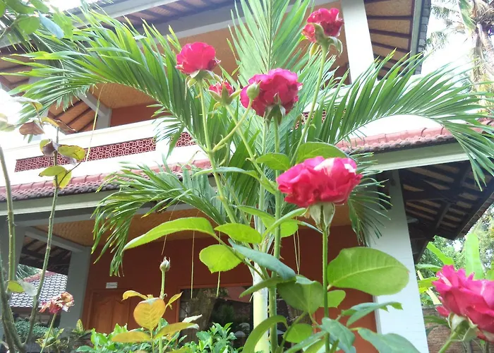 My Lovina (Bali)