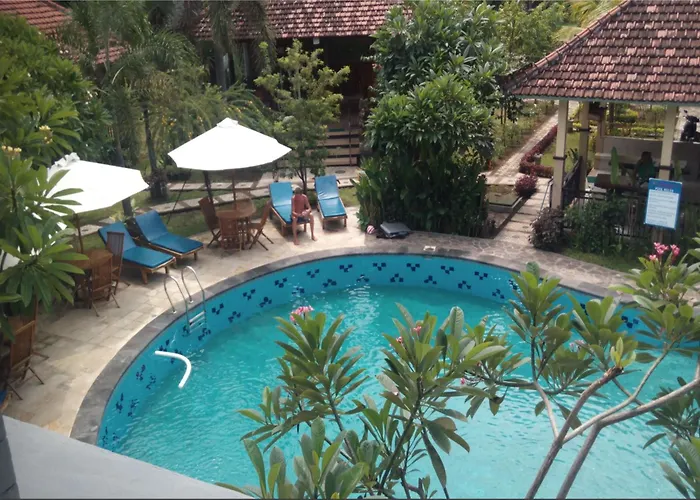 My 4* Lovina (Bali)
